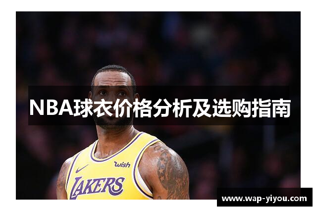 NBA球衣价格分析及选购指南