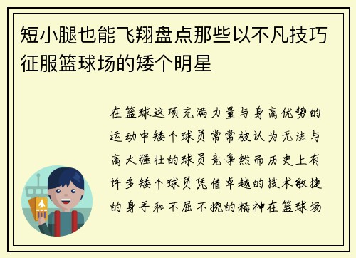 短小腿也能飞翔盘点那些以不凡技巧征服篮球场的矮个明星