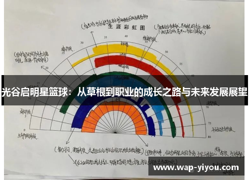 光谷启明星篮球：从草根到职业的成长之路与未来发展展望