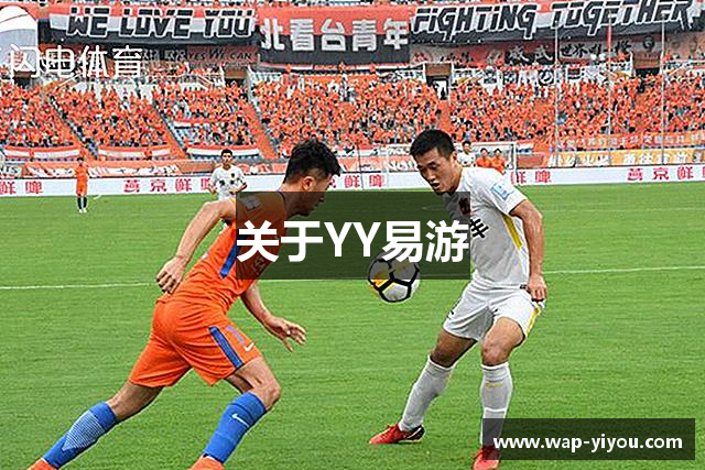 关于YY易游